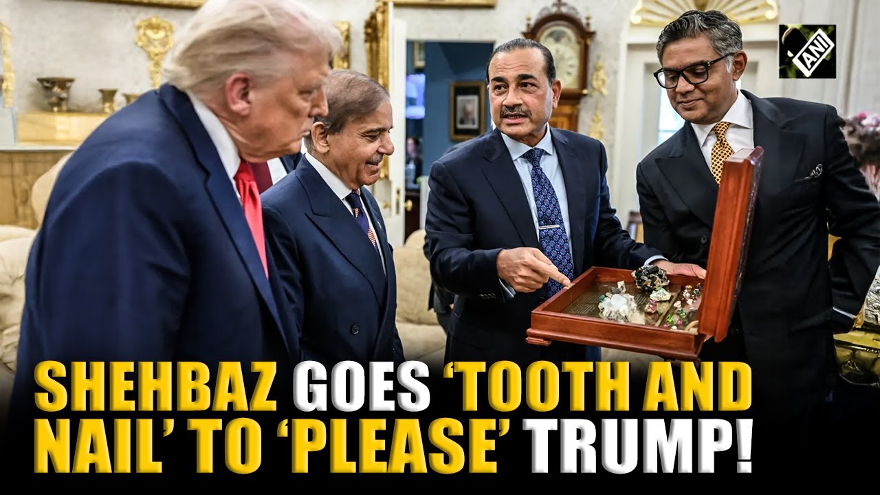 US, Pakistan sign ‘rare earth’ minerals deal, pact inked post Shehbaz, Munir’s meet with Trump