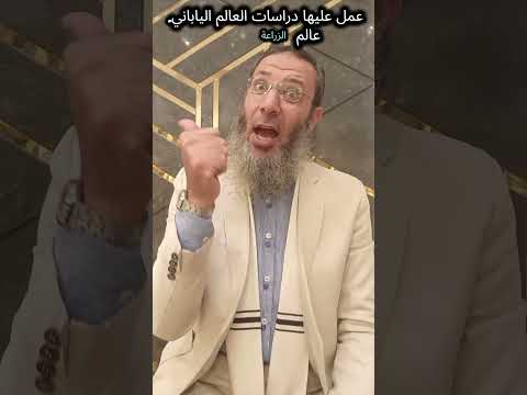 هل الخبز بيشبعك