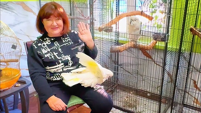 Есектерінде құйрығы бар модельдермен порно