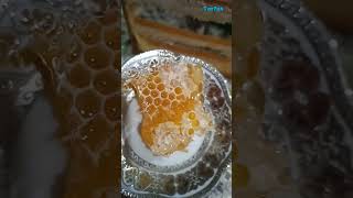 Arı şanından bal kəsmək