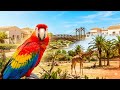 ATTICA ZOOLOGICAL PARK Athens Greece