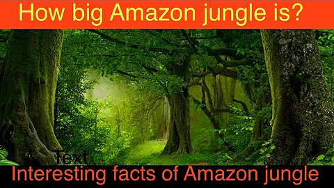 The Amazon rainforest | the amazon is a colossal mystery | Amazon