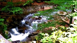 4k Beautiful Turquoise River Calming Nature Sounds. Fast Turquoise Carpathian Mountain River Sounds