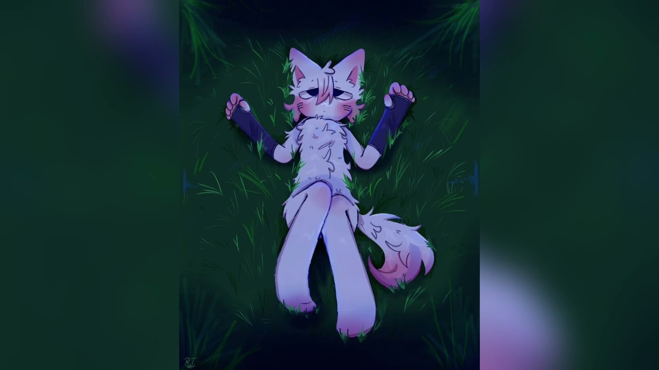 no mercy in brazil slowed and reverb