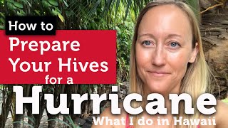 How to Prepare Your Beehive for a Hurricane | What We Do In Hawaii