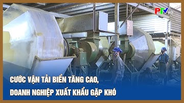 Cước vận tải biển tăng cao, doanh nghiệp xuất khẩu gặp khó | Tin tức Phú Thọ