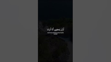 وقالوا لولا أنزل عليه آيات من ربه … عبد الرحمن مسعد