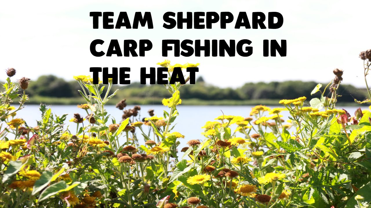 Carp Fishing In The Heat YouTube