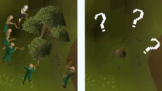 What If Every Bot Disappeared Forever? (OSRS)