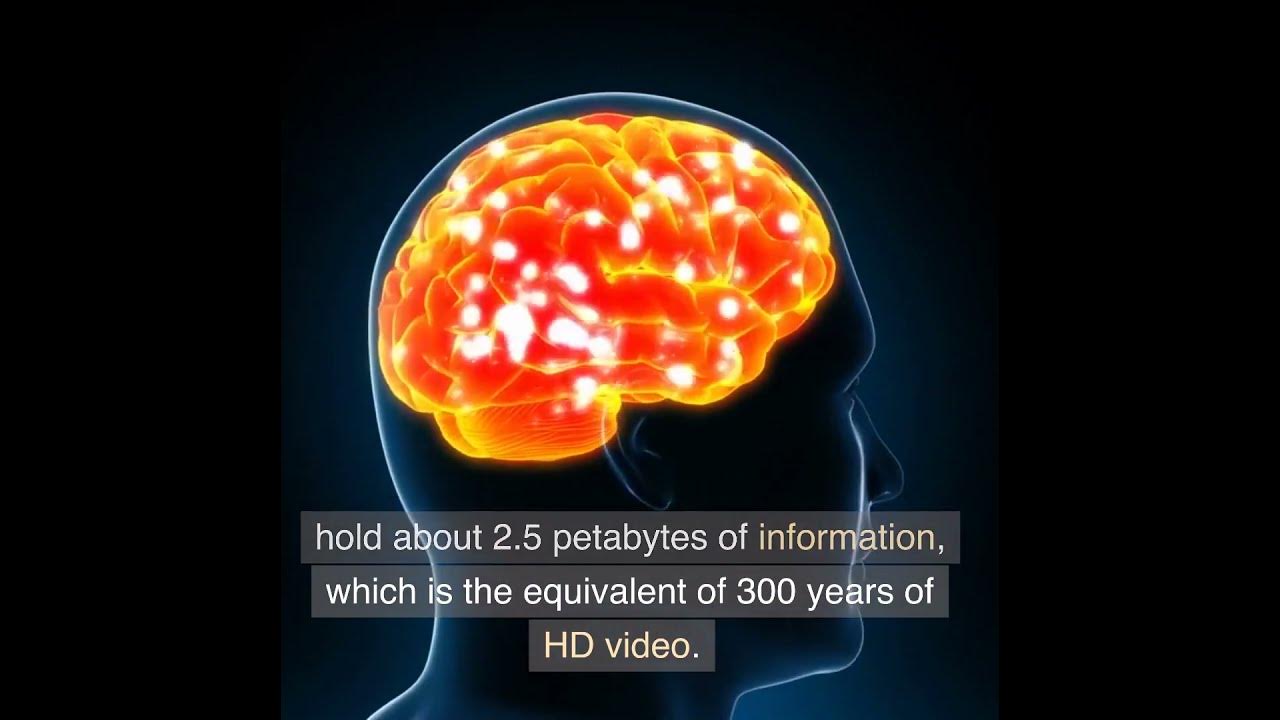 How Much Data Can The Human Brain Store shorts short shortvideo how-much-data-can-the-human-brain-store-shorts-short-shortvideo