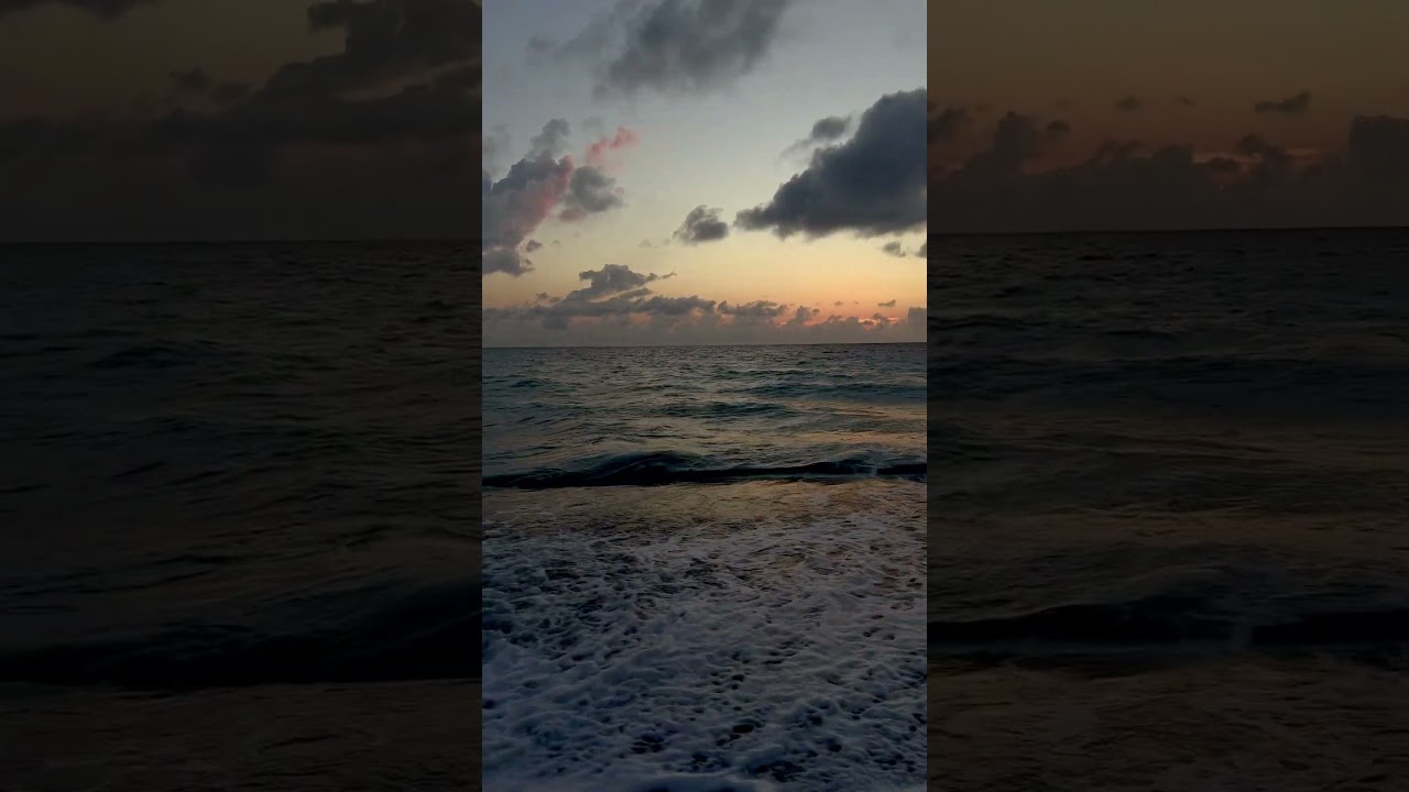 Happy Tuesday to you! 