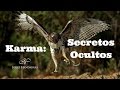 KARMA: SECRETOS OCULTOS