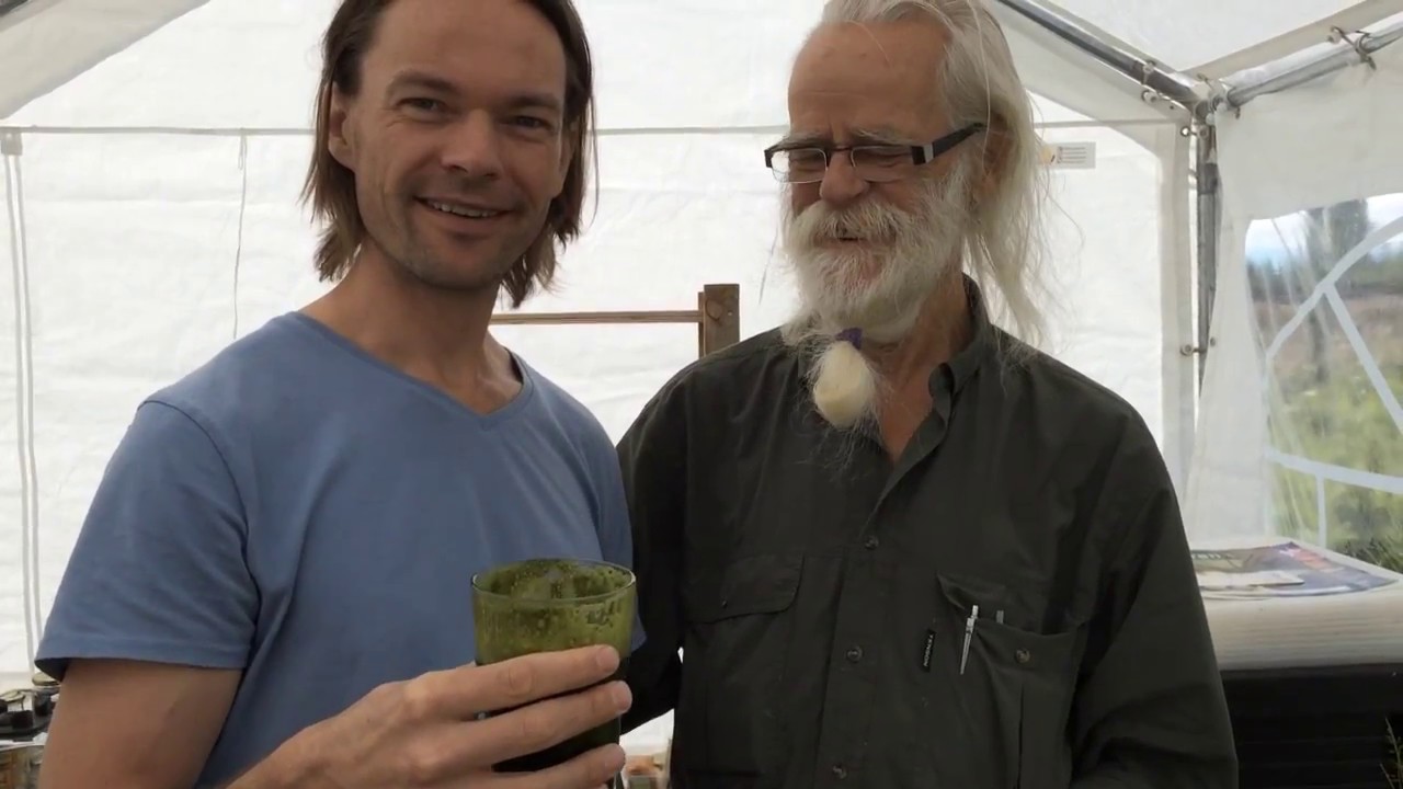 Vilda ätliga växter med Dan Uhrbom – Grön juice