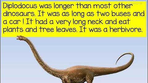 YEAR 4:MODULE 8: AMAZING ANIMALS: DINOSAURS