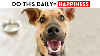 15 Ways To Make Your Dog HAPPY Today! by Wellness for Pets 761 views 5 months ago 6 minutes, 19 seconds