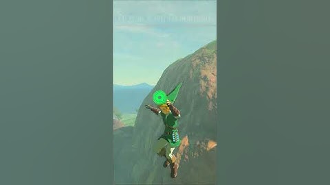 Link has a visitor... #zelda #funny #tearsofthekingdom #totk #gaming #nintendo #link