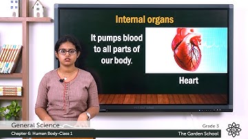 Grade 3 General Science Chapter 6 Class 1 Internal and External Organs