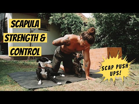 Scapula Strengthening Exercise | Single Arm Scapula Push Up