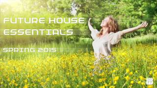 Future House Essentials - Spring 2015