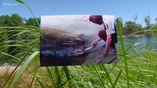 Not too long ago, Albert the Alligator lived in Denver's City Park lake