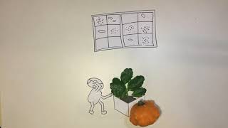 Mystery Seeds - World Food Summit 2018 - Case Competition