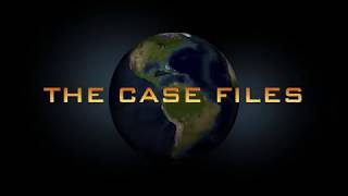 THE EAGLE LEGACY - Book One of the Case Files