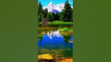 الشيخ توفيق الصائغ**أروع تلاوة the best book 📖 Quran