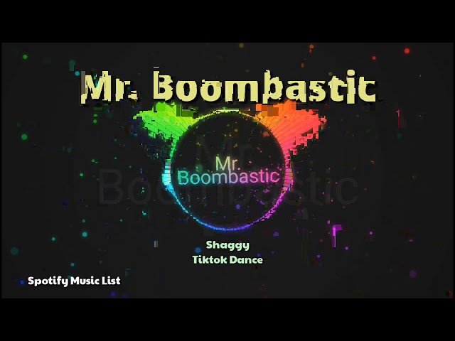 Mr. Boombastic - Shaggy Tiktok Dance / Spotify List class=