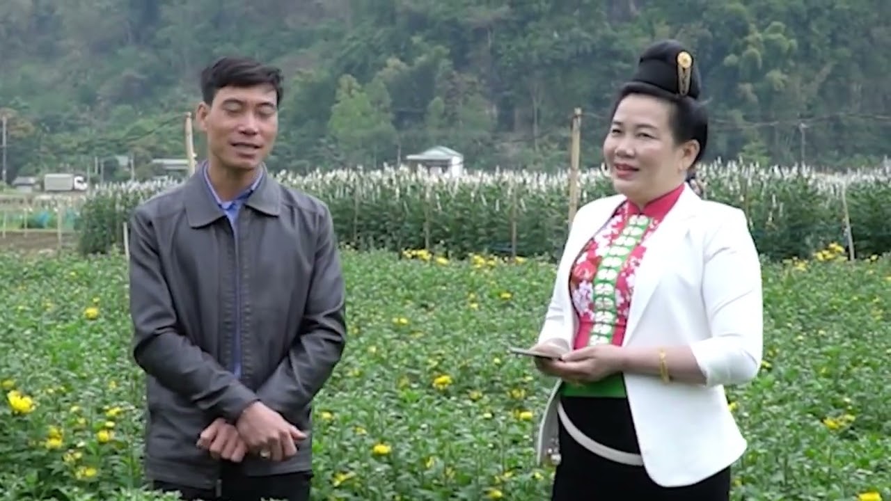 Tuyển Chọn Ca Hay Nhất Quàng Lả, Mỹ Duyên Nghe Là Mê - Hát Thái Nghệ Nhân Sơn La