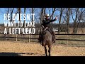 How to help your horse pickup the correct lead