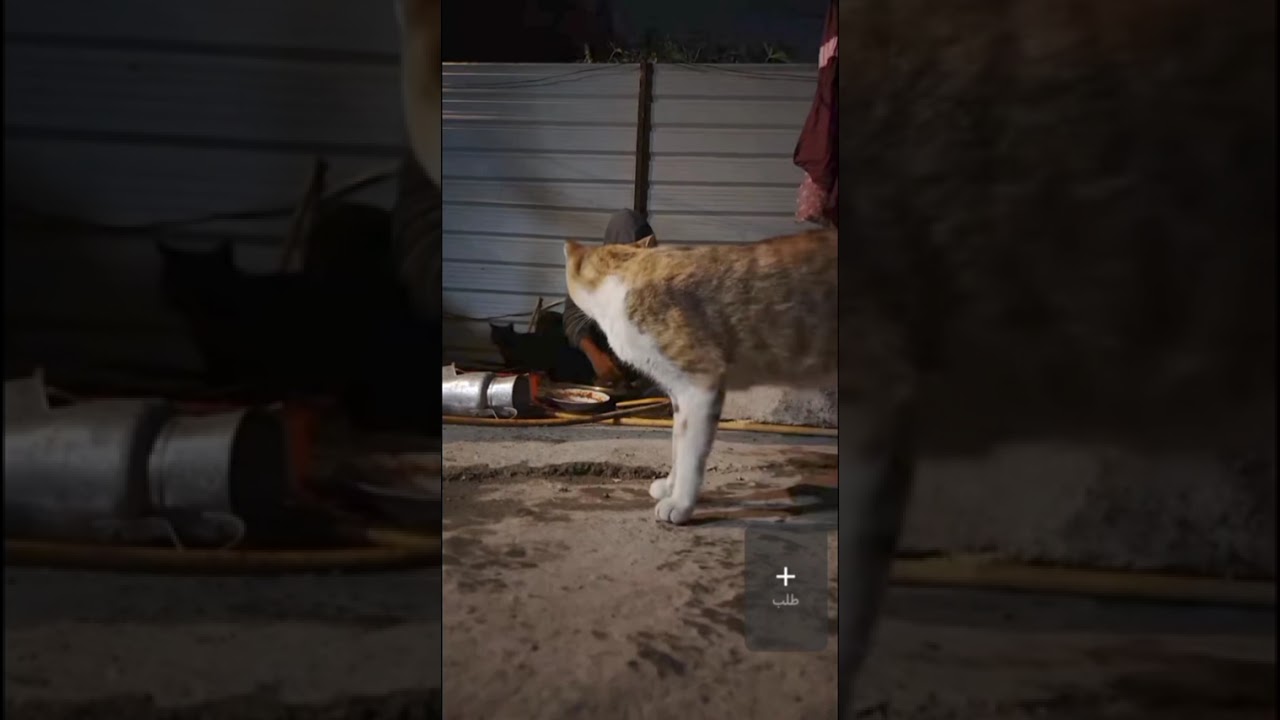 اثير وتنظيف البيت وغسل ماعين 