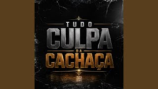 Tudo Culpa da Cachaça - DJ MK, Mc Saci & Mc Pretchako