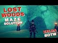 The lost woods maze solution zelda botw
