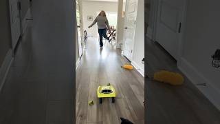 Remember Koosh Balls???