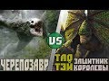Черепозавр (не Череподьявол) vs Тао Тей (фильм Великая Стена)