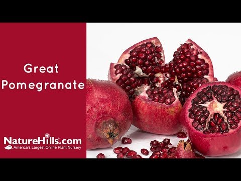 Video: Sorter av granatäppleträd: Vanliga typer av granatäpplefruktträd
