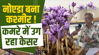 इंजीनियर ने नोएडा को बनाया कश्मीर, बंद कमरे में उगा रहा केसर | Saffron Farming | Kisan Tak