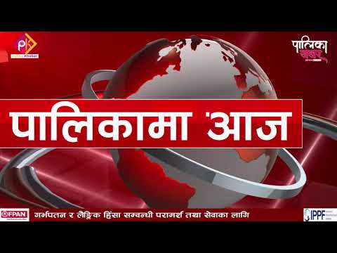  जताततै धानीबालीमा पुगेको क्षतिको राहत माग, वीरगञ्जमा गरिँदै लामखुट्टे नास (भिडियो खबर)