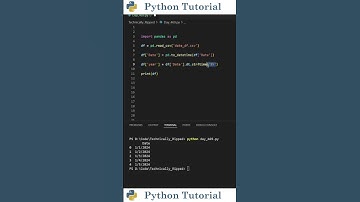 Formatting Date Columns With Pandas | Python Tutorial