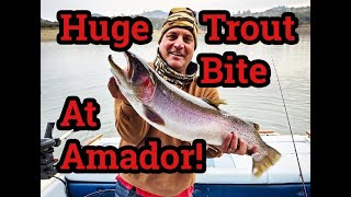 Lake Amador Resort - 🔥 LOOK AT THAT MONSTER 🔥 Jesse from Sacramento got  himself a tank of a trout weighing in at 12.02 POUNDS! He was fishing at  the corner of