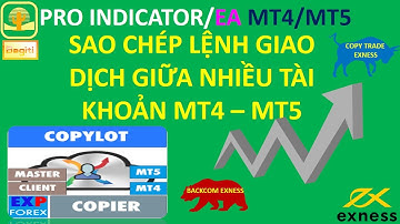 Sao chép lệnh giao dịch giữa nhiều tài khoản MT4 MT5 All sàn| COPY TRADE EXNESS | BACKCOM EXNESS