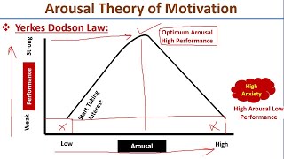 Arousal Theory of Motivation-Yerkes Dodson Law-Hebb Theory-Urdu/Hindi