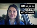 18-19 недели беременности