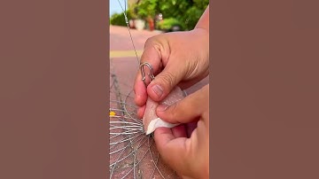 Lưới câu cá, câu cua tự động bằng thép không gỉ #2 #shorts  #fishing  #fishingnets