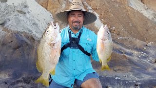 SNAPPER FISHING !!/ PESCA DE PARGOS / LOS CABOS