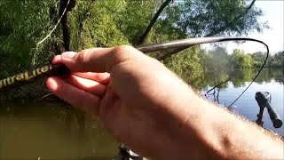 Vertical Jigging More Crappie in Muddy Bayou August 2020