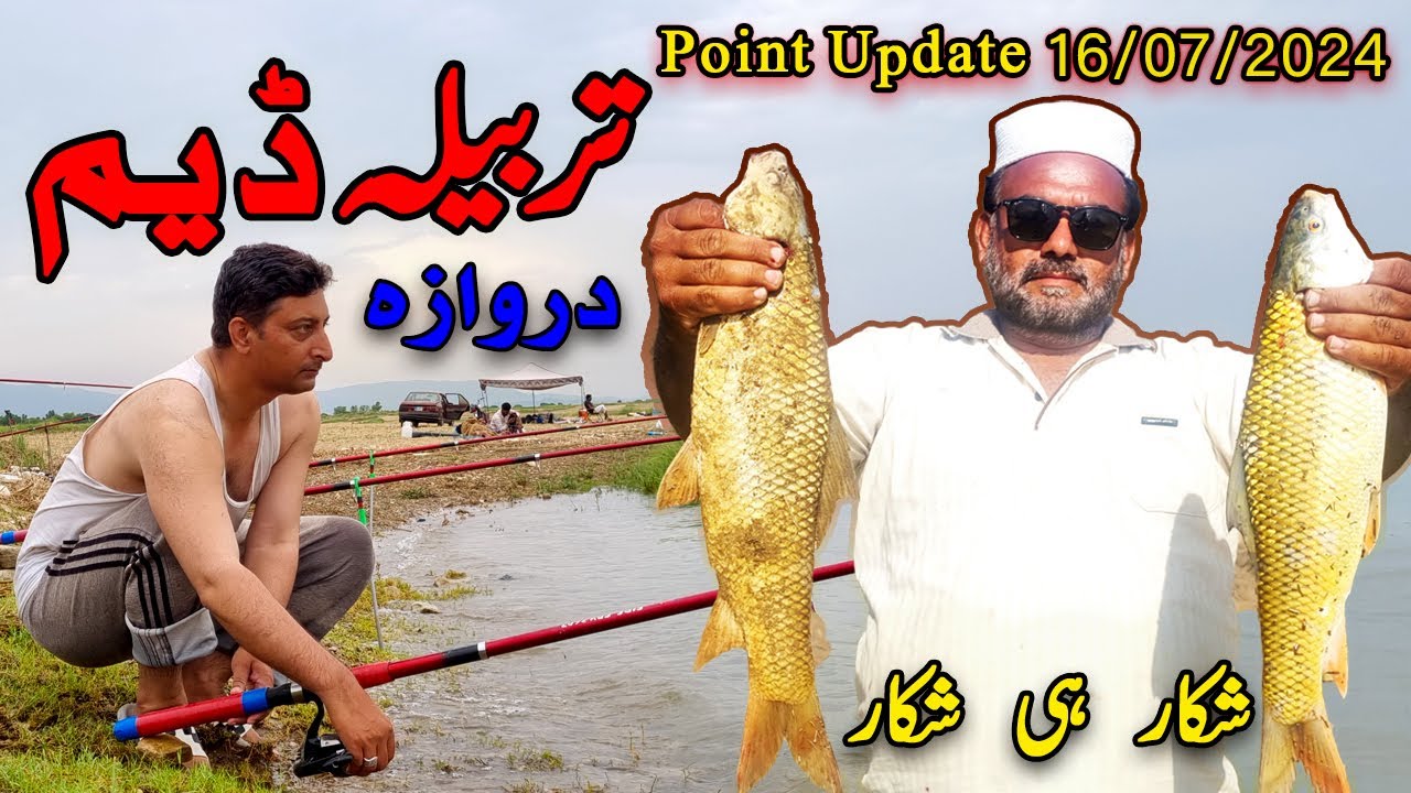 Fishing At Tarbela Dam | Darwaza Point Update | JD Food Hunter