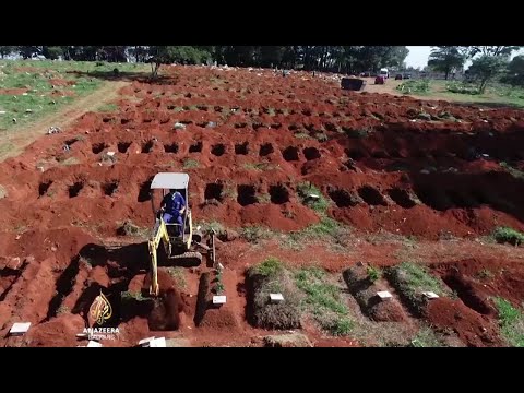 Video: Prostorno-vremenska Distribucija Helminthskih Infekcija Koje Se Prenose U Zemlji U Brazilu