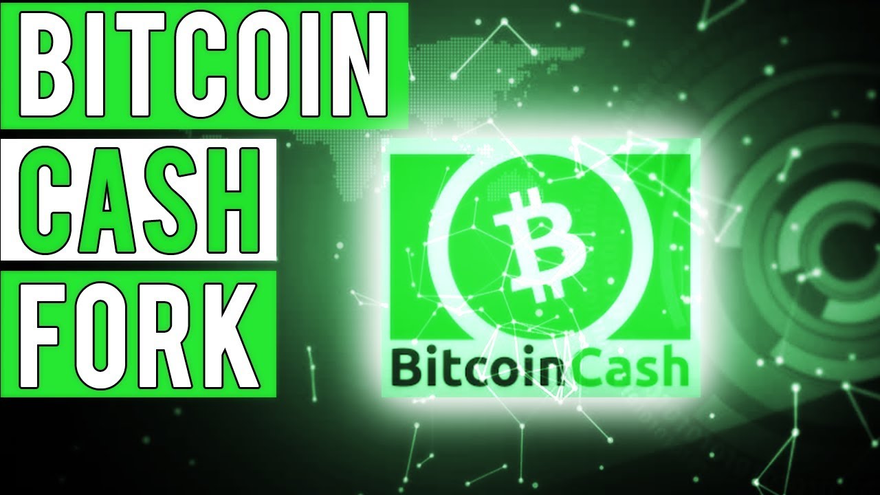 BITCOIN CASH FORK !! WILL BCH PRICE GO UP ?? - YouTube