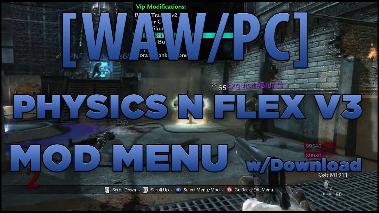 [WAW/PC] Physics n Flex v3 Mod Menu | Download's included - YouTube